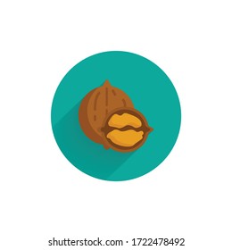 walnut colorful flat icon with long shadow. walnut flat icon
