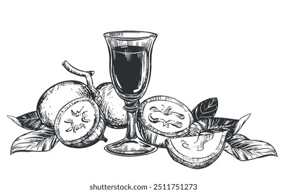 Walnut composition in engraving technique. Unripe walnut seeds whole and halves, leaves and branches. Vector shot glass of Italian liqueur Nocino. Linear sketch in black ink on white background.