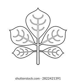 Walnut compound leaf black and white line art outline with pinnate structure, multiple ovate pointed leaflets arranged along central stem, clean minimalist botanical drawing isolated on white background.