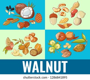 Walnut concept banner. Cartoon banner of walnut vector concept for web, giftcard and postcard