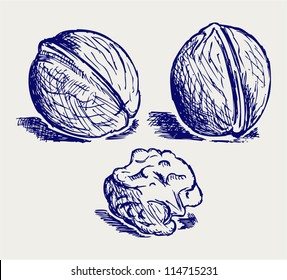 Walnut. Doodle style