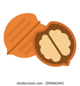 walnut flat clipart vector illustration