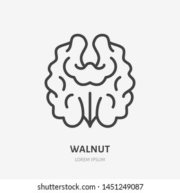 Walnut flat line icon. Vector thin sign of nut, healthy food outline illustration.