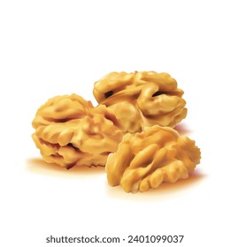 Walnut. Fresh, nutritious, delicious walnut. Nut ingredients in mesh technique. Vector illustration.