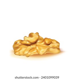 Walnut. Fresh, nutritious, delicious walnut. Nut ingredients in mesh technique. Vector illustration.
