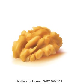 Walnut. Fresh, nutritious, delicious walnut. Nut ingredients in mesh technique. Vector illustration.
