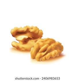 Walnut. Fresh, nutritious, delicious walnut. Nut ingredients in mesh technique. Vector illustration.