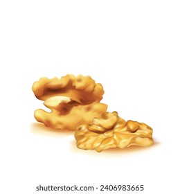 Walnut. Fresh, nutritious, delicious walnut. Nut ingredients in mesh technique. Vector illustration.