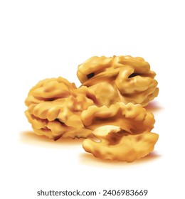 Walnut. Fresh, nutritious, delicious walnut. Nut ingredients in mesh technique. Vector illustration.