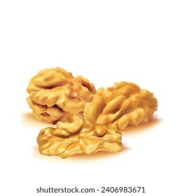 Walnut. Fresh, nutritious, delicious walnut. Nut ingredients in mesh technique. Vector illustration.