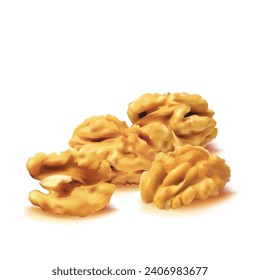 Walnut. Fresh, nutritious, delicious walnut. Nut ingredients in mesh technique. Vector illustration.