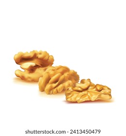 Walnut. Fresh, nutritious, delicious walnut. Nut ingredients in mesh technique. Vector illustration.