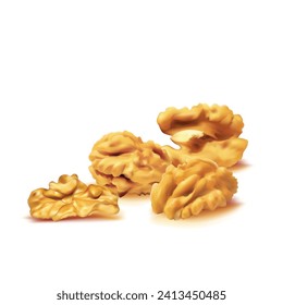 Walnut. Fresh, nutritious, delicious walnut. Nut ingredients in mesh technique. Vector illustration.