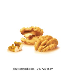 Walnut. Fresh, nutritious, delicious walnut. Nut ingredients in mesh technique. Vector illustration.