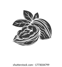 Walnut glyph icon for template label, packing and emblem farmer market design. Retro sketch style.