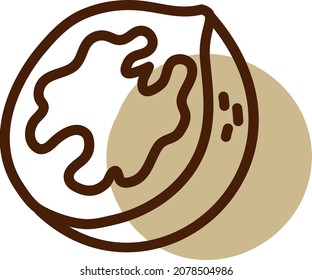 Walnut in half, illustration, vector, on a white background.