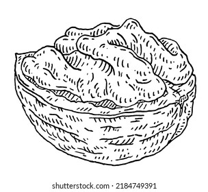 Walnut half shelled. Vector engraving black vintage illustration. Isolated on white background.