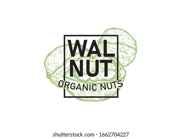 Walnut hand drawn sketch illustration with text label.