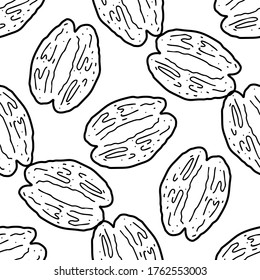 Walnut  hand drawn vector seamless pattern. Outline monochrome texture made in doodle style.Fruit 
background for package, merch, wallpaper, menu and other design.