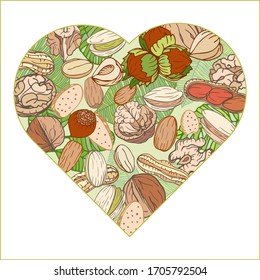 Walnut, Hazelnut, Pistachios, Peanut, Almond. Colorful frame vector heart. Nuts hand drawn style