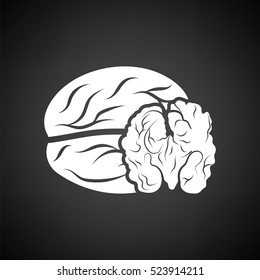 Walnut icon. Black background with white. Vector illustration.