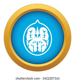 Walnut icon blue vector isolated on white background for any design