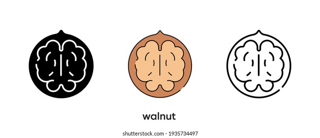 Walnut icon design. Walnut icon set in silhouette, colored and linear. Walnut icon line vector illustration isolated on a clean background for your web mobile application logo design. Modern line.