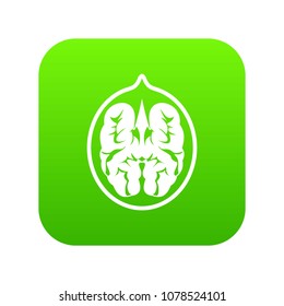 Walnut icon digital green for any design isolated on white vector illustration