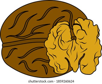 Walnut Icon. Editable Outline With Color Fill Design. Vector Illustration.