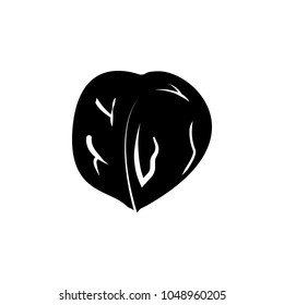 Walnut icon. Element of seeds and nuts elements illustration. Premium quality graphic design icon. Signs and symbols collection icon for websites, web design, mobile app on white background