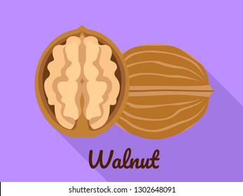 Walnut icon. Flat illustration of walnut vector icon for web design