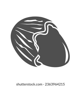 walnut icon of glyph style design vector template