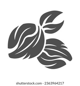 walnut icon of glyph style design vector template