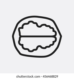 Walnut icon illustration isolated vector sign symbol