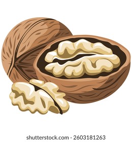 Walnut icon isolated vector illustration on white background