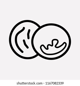 Walnut icon line element. Vector illustration of walnut icon line isolated on clean background for your web mobile app logo design.