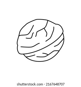 Icono de nogal en icono de estilo de línea, aislado en fondo blanco