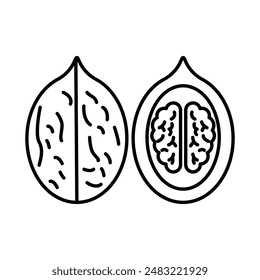 Icono de nogal logo signo contorno de Vector