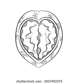 Icono de nogal para las tuercas de embalaje. El producto contiene nueces, amor por las nueces