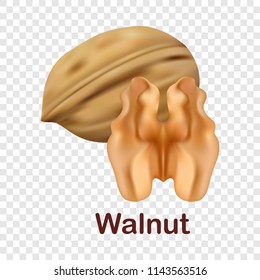 Walnut icon. Realistic illustration of walnut vector icon for on transparent background