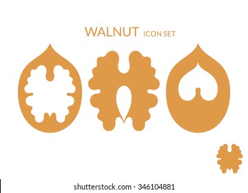 Walnut. Icon set. Dried fruit. Vector illustration
