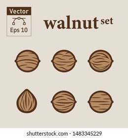 Walnut Icon Set - Vector