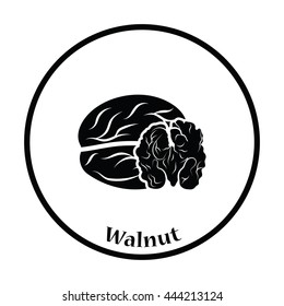 Walnut icon. Thin circle design. Vector illustration.