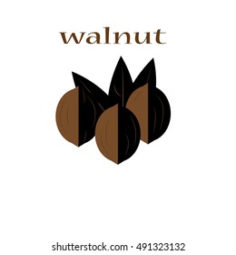 walnut icon - vector illustrator