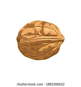 Walnut icon. Whole nut in shell isolated on white background. Vector illustration of healthy food in cartoon flat style.