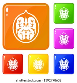 Walnut icons set collection vector 6 color isolated on white background