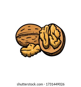 Walnut illustration engraving doodle. Walnut in shell icon