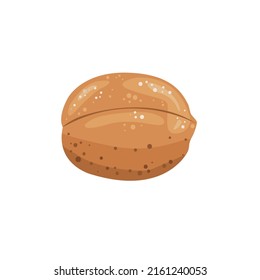 Walnut illustration. Walnut in a shell. Useful natural product.