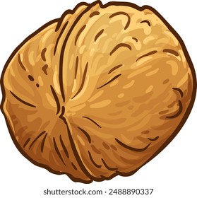 Walnut Isolated Colored Detailed Illustration