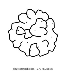Ilustração do kernel de noz que descreve um lanche saudável e comida para o cérebro, enfatizando a nutrição, a memória e a saúde cognitiva com elementos orgânicos e naturais